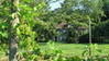 Arcady Vineyard B&B